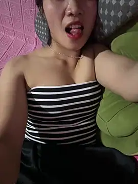 Yunzang webcam