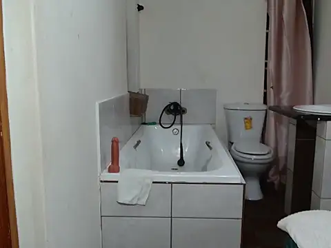 Theecougar webcam