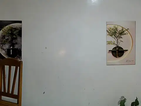 rainexox1 webcam