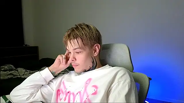 DENIS_HERE webcam
