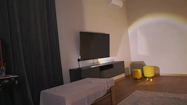 AdaBell webcam