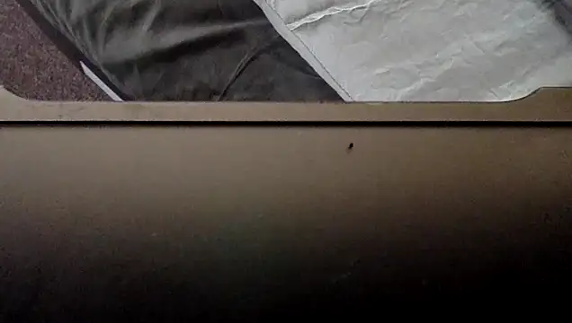 SpankMeDaddy123@xh webcam
