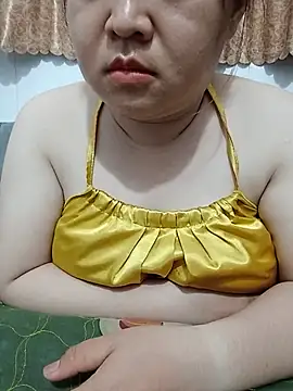 VyOanh2K webcam