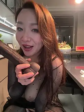 ssaimi webcam
