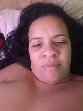 lapatronav2026 webcam