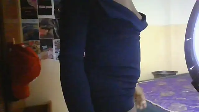 cahnny webcam