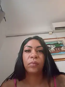 Anapaulk webcam