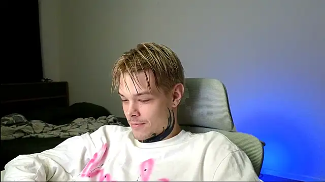 DENIS_HERE webcam