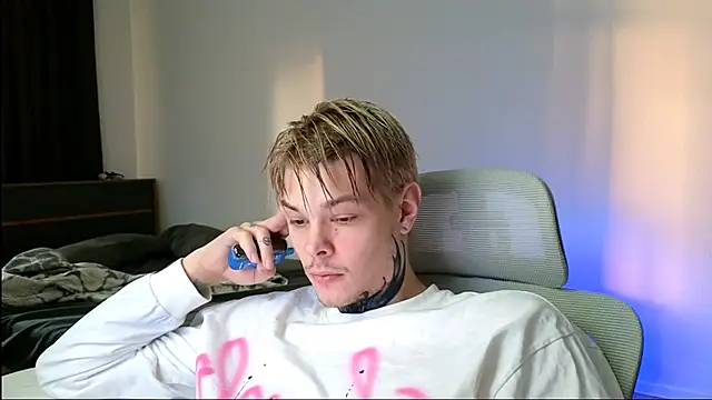 DENIS_HERE webcam