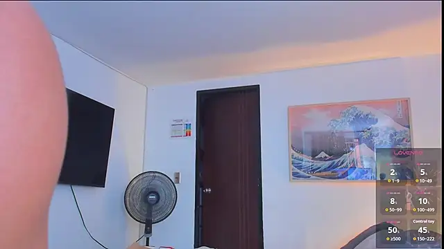 RJBarto webcam