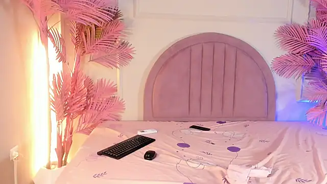 Nalapalmer webcam