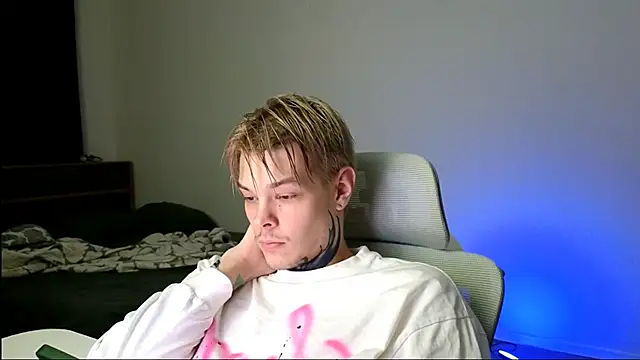 DENIS_HERE webcam