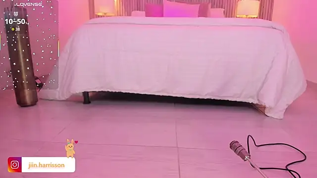 Jin-harrison webcam