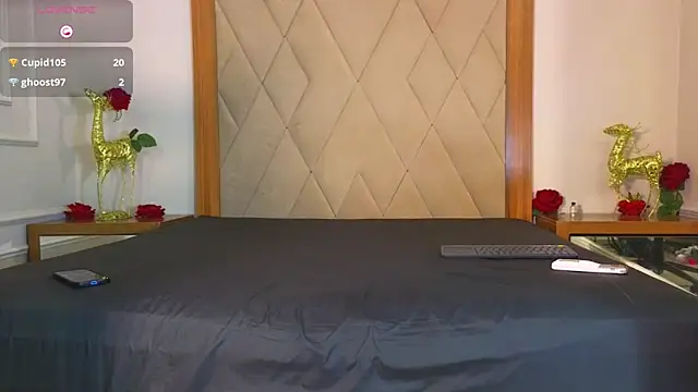 CharlesBrown_ webcam