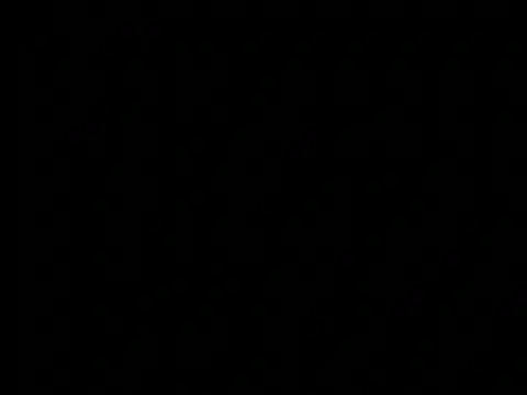 Amber_Harriis webcam