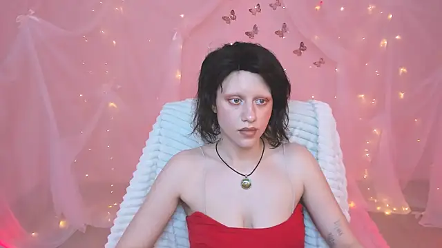 LidaDarknet webcam