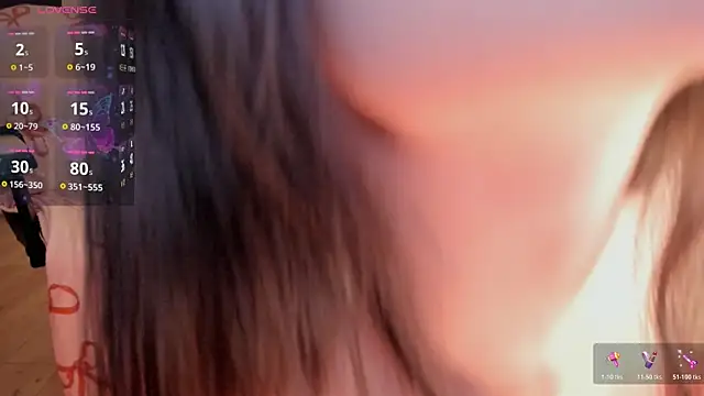 koyoomi webcam