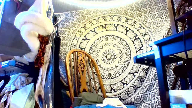 Ambionce webcam