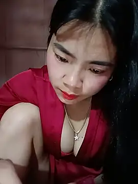 Nul_chal webcam