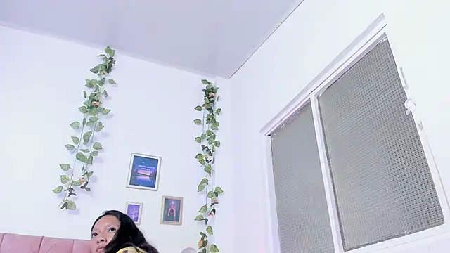 _hade_ webcam