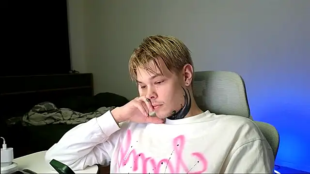 DENIS_HERE webcam