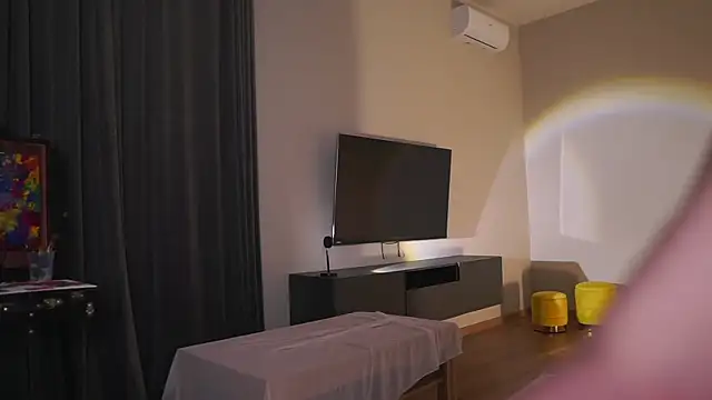 AdaBell webcam