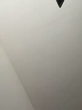 NelModel1 webcam