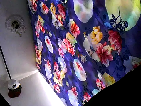 TomaTuYuco webcam