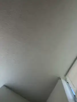 quartzvital webcam