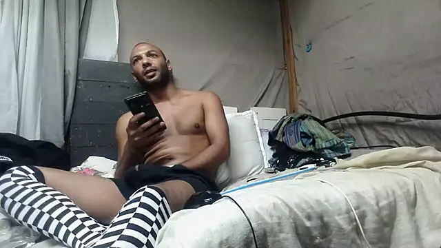 Camodick webcam