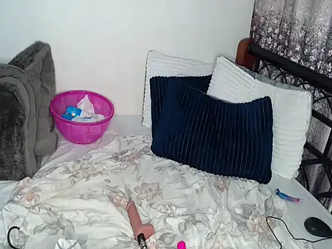 Whimsicalwillow webcam