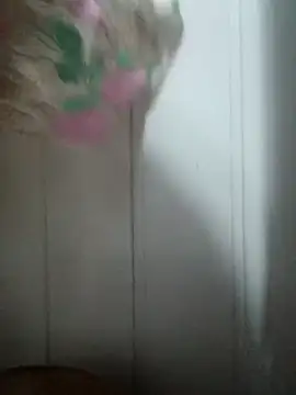 Lupita_sol webcam
