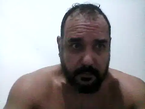 stallony webcam