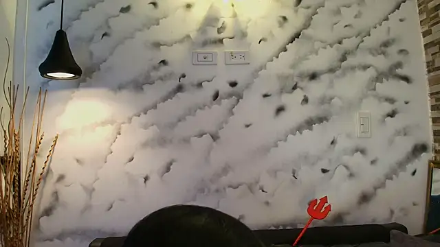 VenusClark_S webcam