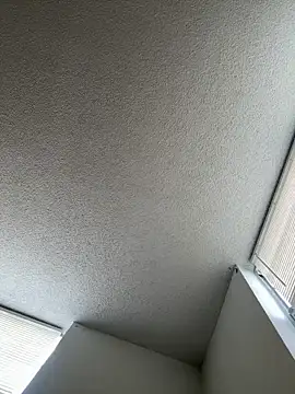 quartzvital webcam