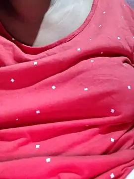 Gulapi_N webcam