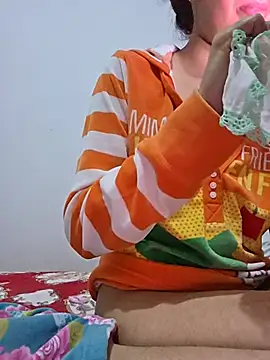 altinya webcam