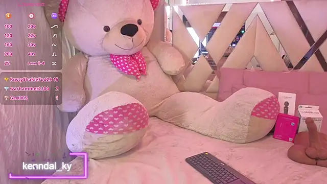 Kenndal_tay webcam