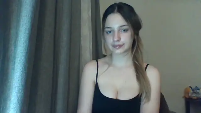EvelineMagnetic webcam