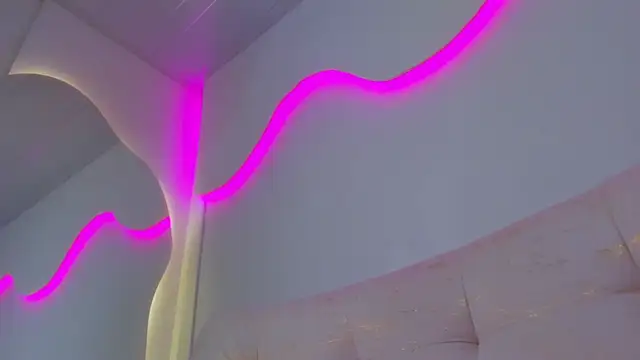 VenusBlazzer webcam