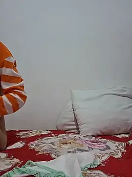 altinya webcam