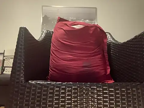 Tyyson03 webcam