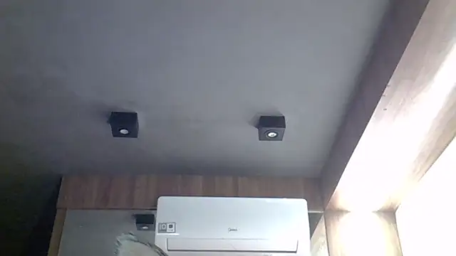 SkinnyKitten webcam