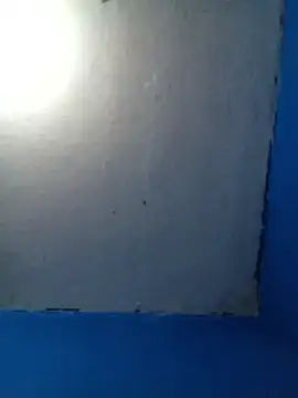 d_luan webcam