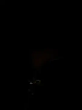 KrisMagnoly webcam