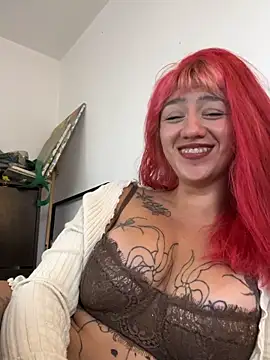 nth-li webcam