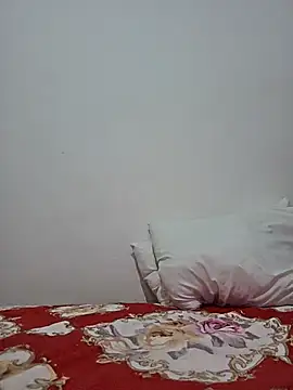 altinya webcam