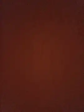 altinya webcam
