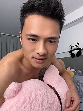 AAA-888 webcam
