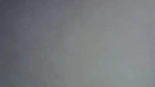 SkinnyKitten webcam